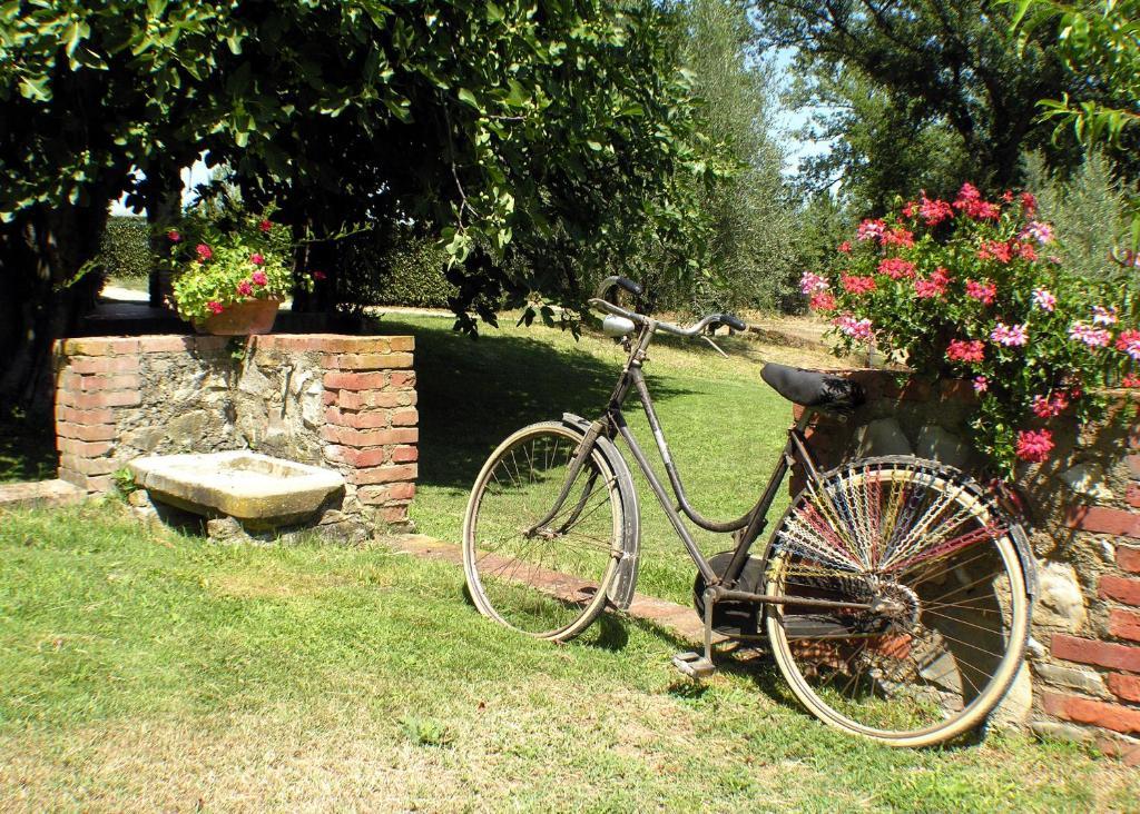 Agriturismo Il Sole Verde Bucine Buitenkant foto