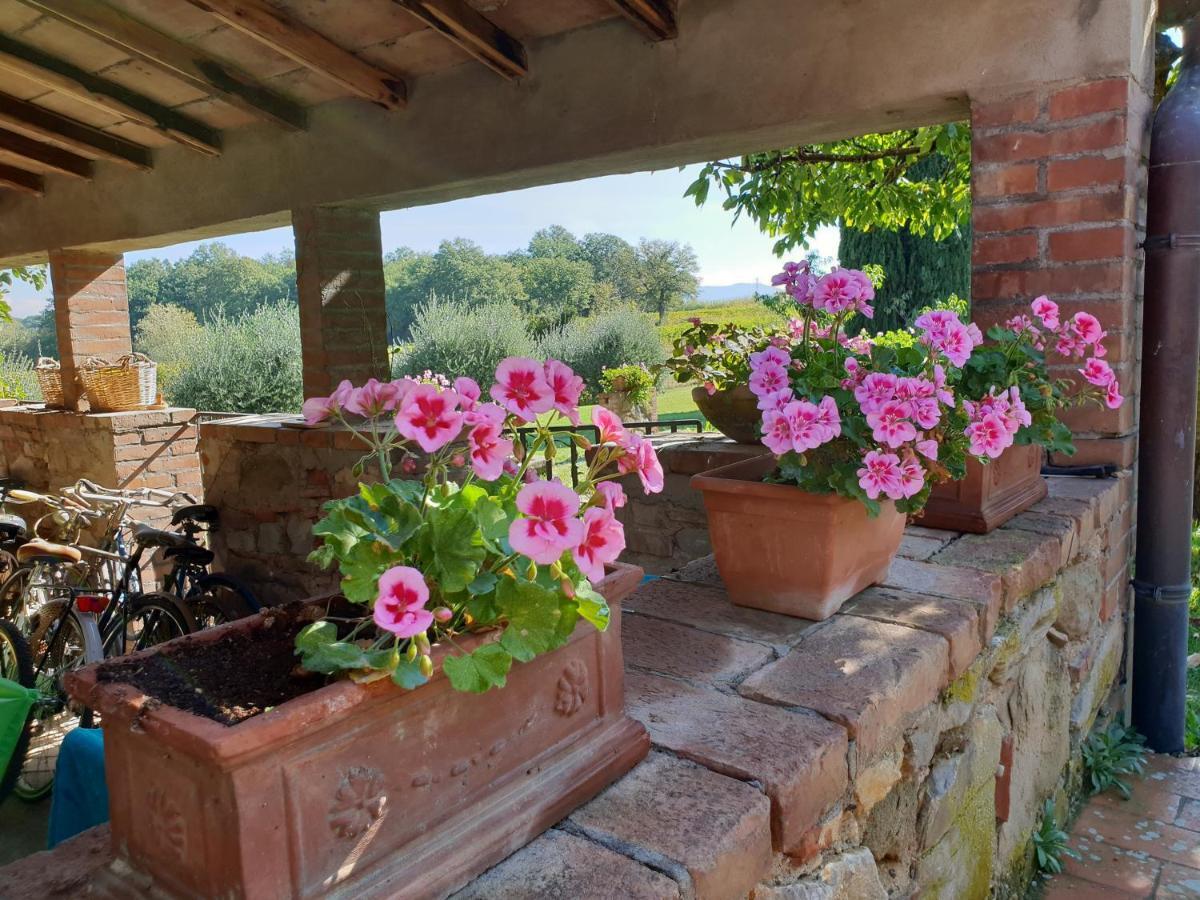 Agriturismo Il Sole Verde Bucine Buitenkant foto